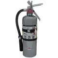 Fire Extinguisher,Dry Chemical,