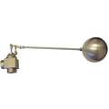 Pipe-Mount Globe Float Valve with Threaded Outlet, 1/4" NPT Rod Thread, Stainless Steel w/PTFE Seal
