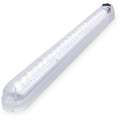 Grote Push Light, Clear, White Oval, Hardwired, Width: 3/4 in