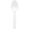 Medium Weight Disposable Spoon, Unwrapped Plastic, White, 3000 PK