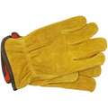 Driver Gloves, M, Rough Grain Leather, Lined, 1 PR