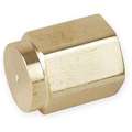 Hex Head Cap: Bright Brass, 1/8 in Fitting Pipe Size, Female NPT, 3/4 in Overall Lg