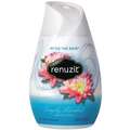 Renuzit Air Freshener, After the Rain Fragrance, 7 oz. Cone, Solid