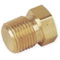 Brass Hex Head Plug, MNPT, 1/2" Pipe Size, 1 EA
