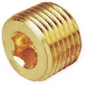 Hollow Hex Head Plug: Bright Brass, 1/8 in Fitting Pipe Size, Male NPT, 1/4 in Overall Lg
