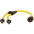 Champion Power Equipment Generatr Y-Adapt Cord,3ft.,30A,125/250V, 3 ft. Cord Length, (2) NEMA 5-20R Y-Adapter Connector End,