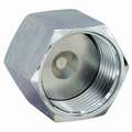 Cap: Cap, O-Ring Face Seal, 250&deg;F Max Op Temp, 6,000 psi, Zinc Nickel Steel, Seal-Lok