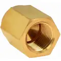 Hex Head Cap: Bright Brass, 1/2 in Fitting Pipe Size, Female NPT, 1 5/16 in Overall Lg