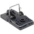 Kness Rat Trap: Indoor and Outdoor, Snap Trap, 5 1/2 in Overall L, 3 in Overall Wd