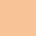 Mid-Sheen Interior Paint, Latex, Orange Souffle, 1 gal.