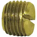 3150 X 2 Slotted Plug Brass Fitting