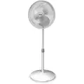 16" Yes White with Gray Accents Fan, 53-1/4" Height,120 Voltage