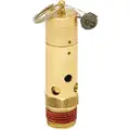 Air Safety Valve: Soft Seat, 1/2 in (M)NPT Inlet (In.), 175 psi Preset Setting (PSI)
