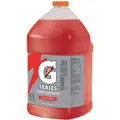 Original Fruit Punch Gatorade G Series Liquid Concentrate Drink Mix
