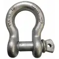 Anchor Shackle: Screw Pin, 6,600 lb Working Load Limit, 13/16 in Wd Between Eyes