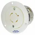 Hubbell Wiring Device-Kellems White Flanged Locking Receptacle, 20 Amps, 250V AC Voltage, NEMA Configuration: L15-20R