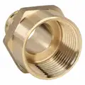 Low Lead Brass PEX and Pipe Adapter, PEX x FNPT Nonswivel Connection Type, 1/2" PEX Size