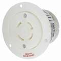Hubbell Wiring Device-Kellems White Flanged Locking Receptacle, 30 Amps, 480V AC Voltage, NEMA Configuration: L16-30R