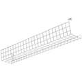 Acuity Lithonia Wire Guard, Steel, White, For Use With FDK 4ft 2 lamp, 48" Nominal Length, 16-1/2" Nominal Width