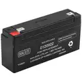 Hubbell Lighting Battery: Sealed Lead Acid, 6 V Volt, 3 Ah Battery Capacity, 2 3/4 in Overall Ht, 6 in Overall Wd