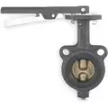 Butterfly Valve: Wafer Style, Cast Iron, 2 in Pipe Size, 200 psi Max. Water Pressure