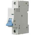 Dayton IEC Supplementary Protector, Amps 6 A, AC Voltage Rating 277V AC, DC Voltage Rating Not Rated