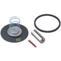 Valve Rebuild Kit, For Use With 9177907