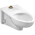 Toilet Bowl, Wall Mounting Style, Elongated, 1.1 to 1.6 Gallons per Flush