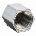 Galvanized Steel Cap, 3/8" Pipe Size, FNPT Connection Type