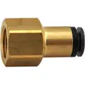 DOT Approved Composite Female Connector Air Brake Fitting, 3/8" x 3/8"