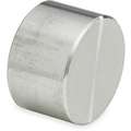 304 Stainless Steel Cap, Socket Weld, 2" Pipe Size - Pipe Fitting