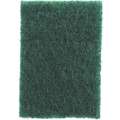 Scouring Pad 3M 6X9" 20pk