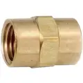 Coupling: Brass, 1/2 in x 1/2 in Fitting Pipe Size, Female NPT x Female NPT, 1 3/16 in Overall Lg