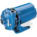 120/240 VAC Open Dripproof Centrifugal Pump, 1-Phase, 1-1/2" NPT Inlet Size