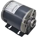 Marathon Motors 1/3 HP Split-Phase Carbonator Pump Motor, 1725 Nameplate RPM, 100-120/200-240 Voltage, 48Y Frame