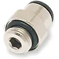 Male Connector,Pipe M10 x1,Pk10