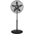 18" Pedestal Fan, Oscillating, 120 VAC, Number of Speeds 3