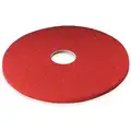 Buffing Pad,16 In,Red,PK5
