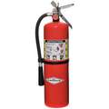 Fire Extinquisher 10 Lb Red