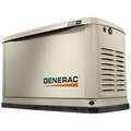 24/21 kW Air-Cooled Standby Generator, Aluminum Enclosure: LP 100.0 A/NG 87.5 A, Air