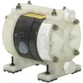 Double Diaphragm Pump, 3.25 gpm Max. Flow, PTFE, Single Manifold Connection, 1/4" FNPT