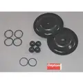 Diaphragm Pump Repair Kit, Includes 4 Check Balls, 2 Diaphragms, Seals and O-Rings