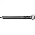 Steel Common Nail with Flat Head Type, Galvanized Finish, 6d Size, 2" Length, PK168