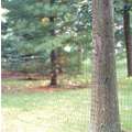 Tenax 7.5 f.t x 100 ft. Deer Fence, 1-7/9 x 1-32/33 Mesh Size