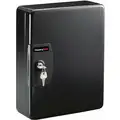 Sentry Safe Key Box,Wall Mount,Steel,Gloss,