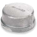 Galvanized Malleable Iron Cap, 2-1/2" Pipe Size, FNPT Connection Type