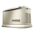 Generac Liquid Propane/Natural Gas Automatic Standby Generator, 120V AC/240V AC