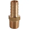 Brass Hose Barb with Straight Fitting Style, 3/4" Thread Size