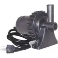 Centrifugal Pump: 1/25 hp HP, 100-240, 4.2 gpm @ 1.75 ft, 13 ft Max. Head, 3/4 HB