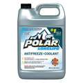 Antifreeze Coolant, 1 gal., Plastic Bottle, Dilution Ratio : 50/50, 5&deg; Freezing Point (F)